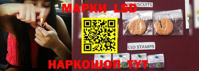стаф Аргун