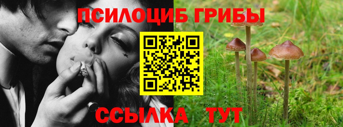 Вятские Поляны  даркнет сайт  Вход с VPN  Галлюциногенные грибы MAGIC MUSHROOMS 